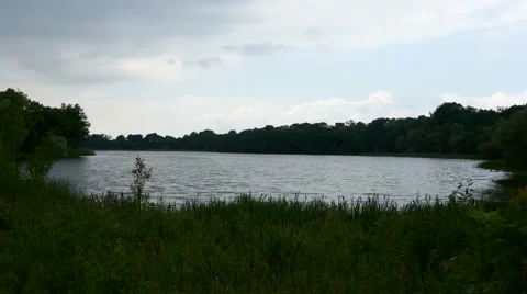 A beautiful lake in the middle of a forest on a windy day Stock Footage