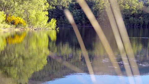 Beautiful lake in the morning light Stock Footage 115917341