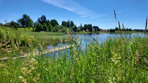 Beautiful lake in the park. Summer. Slowmotion Stock Footage 341815134