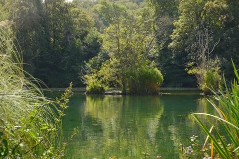Beautiful lake in the summer Stock Photos