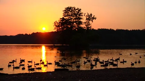 Beautiful Lake at Sunset Video stock 1065975
