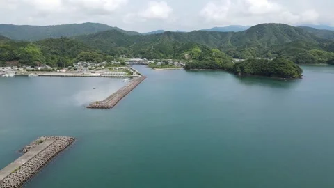 Beautiful lake surrounded by greenery Stock Footage 261273739