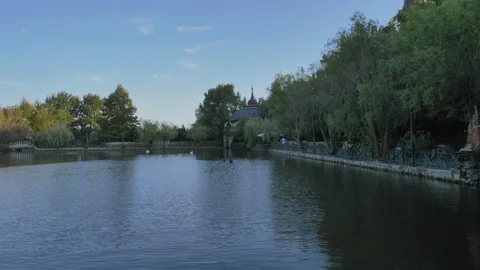 Beautiful lake with swans 库存影片 95963314
