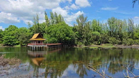 Beautiful lake  in Thailand Stock Footage 304257553