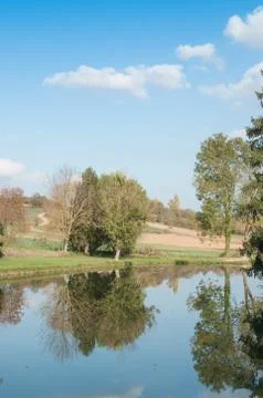 Beautiful lake with trees in reflection Stock Photos