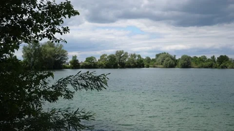Beautiful lake with trees in the summer Stock Footage 198010423