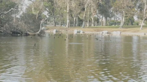 Beautiful Lake View Stock Footage 45885926