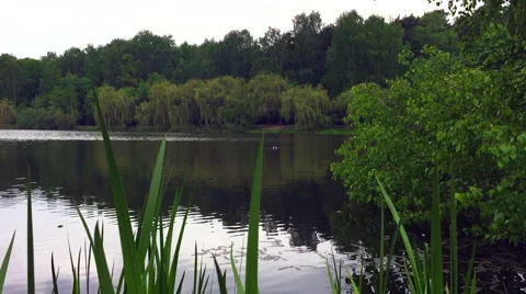 Beautiful lake view Stock Footage 67299019