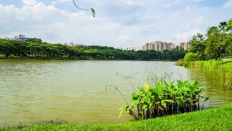 Beautiful lake view of Punggol Park in S... | Stock Video | Pond5