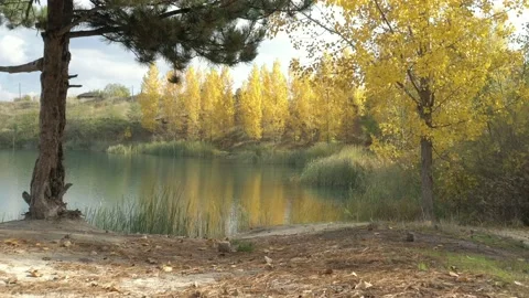 Beautiful lakeside colors by autumn 4K video Stock Footage