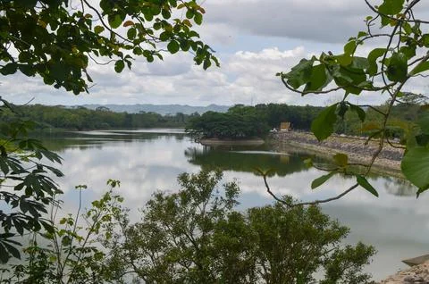 Beautiful lakeside view from a small lake in Indonesia, with lush green trees Stock Photos