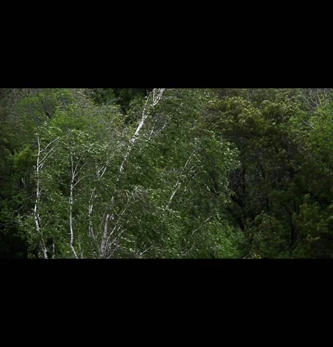 Beautiful landscape and landscape on developing Stock-Footage 129761643