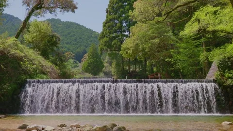 Beautiful landscape of an artificial waterfall and clear stream Stock Footage 332866243