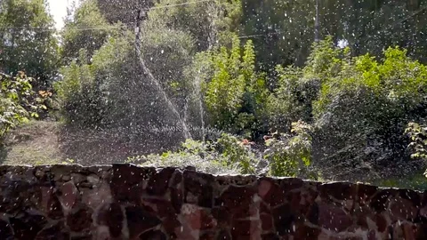 Beautiful landscape with automatic sprinkler spraying watering the lawn in the Stock Footage 117777814
