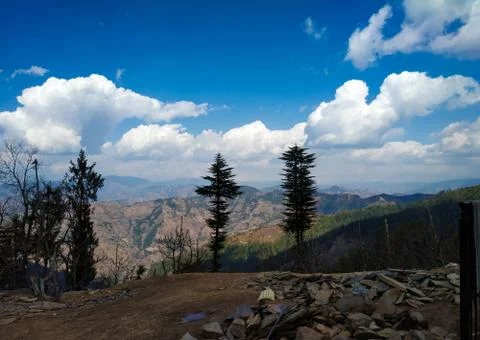 Beautiful landscape with cloud and tree Stock Photos