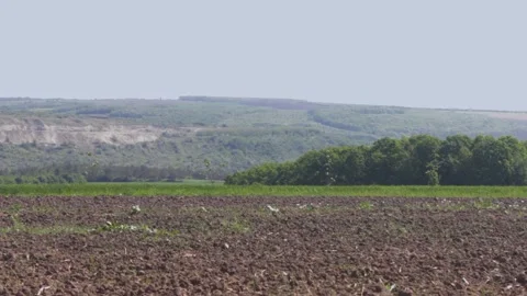 Beautiful landscape in the daytime with a view of the forest, grass and a plowed Video stock 89922867