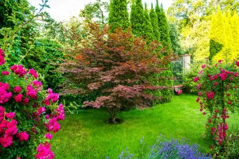 Beautiful landscape design Stock Photos