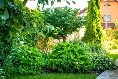 Beautiful landscape design Stock Photos