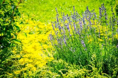 Beautiful landscape design Stock Photos