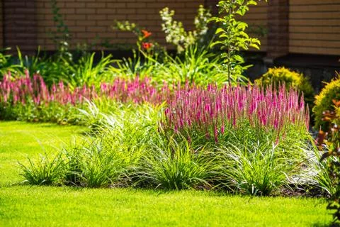 Beautiful landscape design Stock Photos