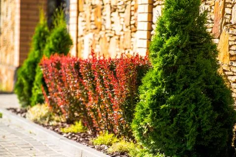 Beautiful landscape design Stock Photos