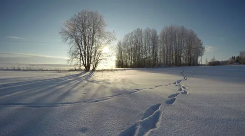 Beautiful landscape with feet tracks on winter snow, time lapse 4K Stock Footage 59293128