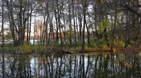 Beautiful landscape Stock Footage 38394014