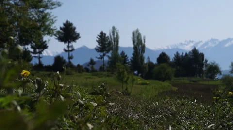 Beautiful Landscape Stock Footage 49837168