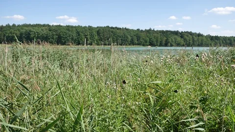 Beautiful landscape. Video stock 117046895