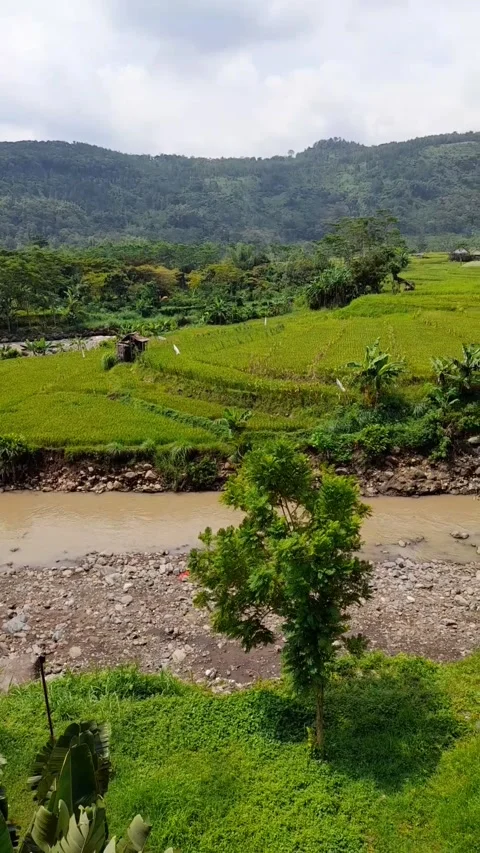 Beautiful landscape Stock Footage 288478377