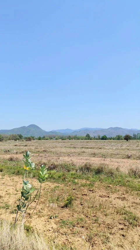 Beautiful landscape Stock Footage 331277914