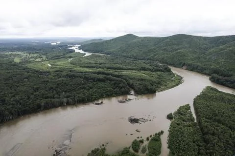A beautiful landscape in the frame from a drone. forests and mountain river. Stock Photos