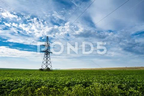 Beautiful landscape of green field and cloudy sky Stock Photos