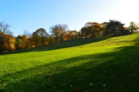 Beautiful landscape with green grass colourful trees and bluesky suitable for a Stock Photos