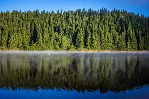 Beautiful landscape with green spruce forest reflected on a mountaineous lake. Stock Photos