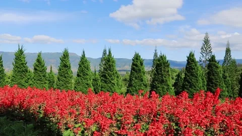 Beautiful landscape on hill Stock Footage 208237697