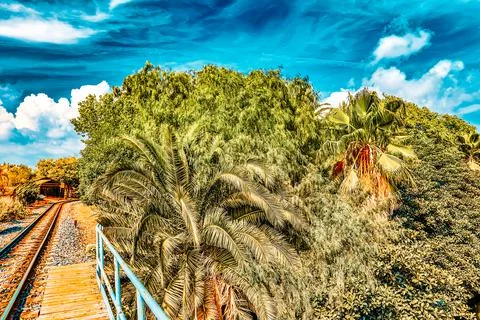 Beautiful landscape of humid tropical jungle. Stock Photos