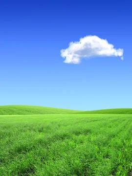 Beautiful landscape Stock Illustration