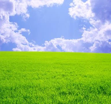 Beautiful landscape Stock Illustration