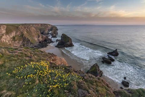 Beautiful landscape image during Spring golden hour on Cornwall coastline at  Stock Photos