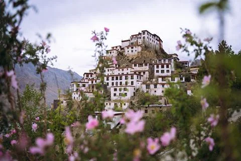 Beautiful landscape of key monastery captured in between blurred pink flowers Stock Photos