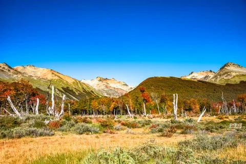 Beautiful landscape of lenga forest, mountains at Tierra del Fuego National P Stock Photos