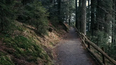 Beautiful landscape in the mountain forest. Stock-Footage 230492626