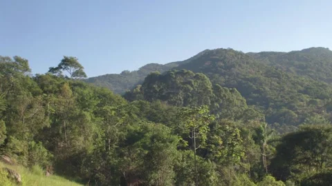 Beautiful landscape of a mountain full of trees Stock Footage 260822659
