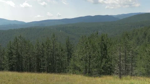Beautiful landscape of mountains with conifers forests, dolly shot. Stock Footage