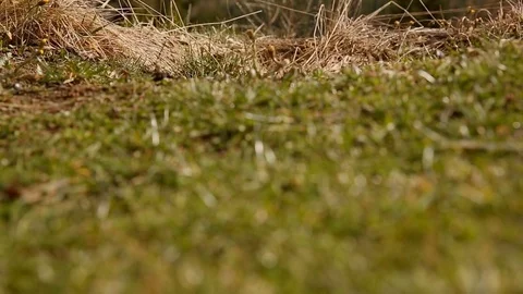 A beautiful landscape of mountains in early spring. Incredible beauty Stock Footage 77007331