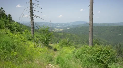 Beautiful landscape of Mountains. 스톡 동영상 64590454