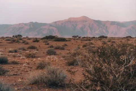 Beautiful landscape in Namibia during sunset, golden hour Stock Photos