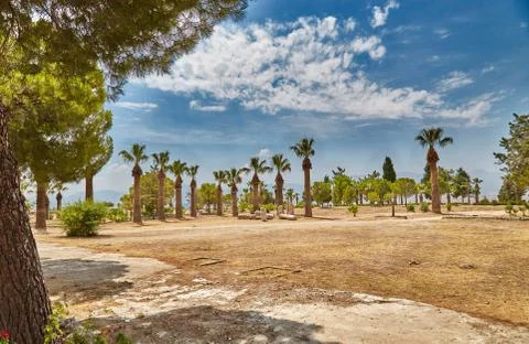 Beautiful landscape with palm trees Stock Photos