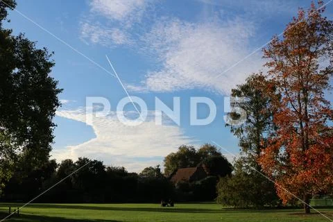 Beautiful landscape of park at the early autumn Faraway happy family Stock Photos
